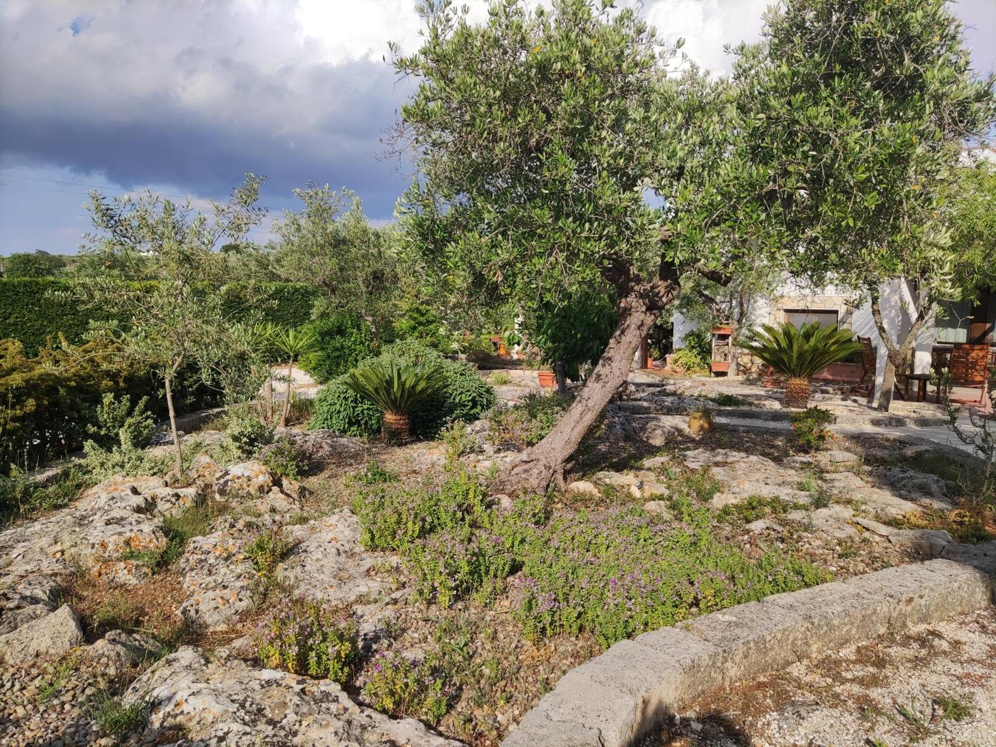 Villa Giulia B&B Castellana Grotte Bagian luar foto